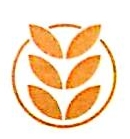 上海麦子资产管理有限公司