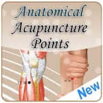 Anatomical Illustration of Acupuncture Points