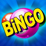 Bingo Casino!