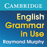 English Grammar in Use